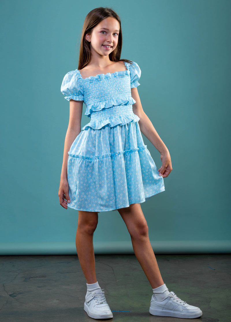 BERKLEY Puff Sleeve Smocked Dress